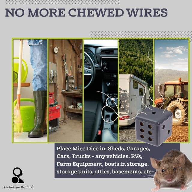 https://www.archetype-brands.com/wp-content/uploads/2022/06/3-How-to-keep-mice-out.jpg